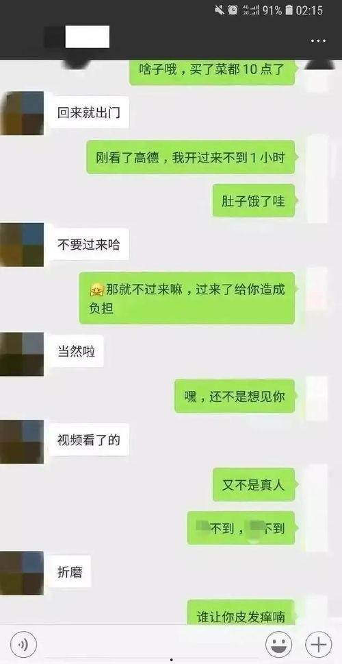 吃瓜聊天记录警察,吃瓜聊天记录揭秘案件背后真相