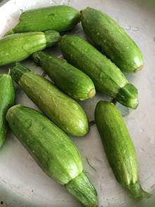 迷你小瓜怎么吃,迷你小瓜的多彩食法探索