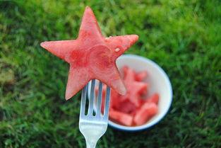 吃瓜鸭钩织,揭秘流行文化中的趣味编织艺术