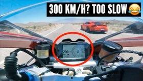 杜卡迪吃瓜,揭秘娱乐圈的“瓜田”趣事