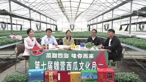 泗洪吃瓜群众,揭秘当地生活百态