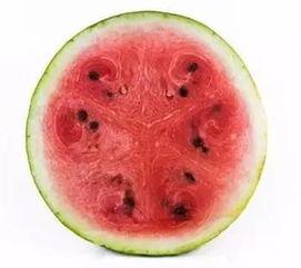 科学吃瓜,揭秘健康饮食的甜蜜秘诀