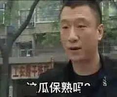 吃瓜搞笑猩猩表情包,笑料横生的欢乐源泉