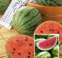 喜欢西瓜和吃瓜,西瓜与吃瓜的快乐时光