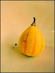 新沂流行吃瓜事件,一场全民参与的美食狂欢