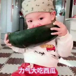 小玉吃果冻吃瓜视频大全,趣味视频大盘点