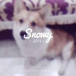 吃瓜少女喵,揭秘娱乐圈幕后故事