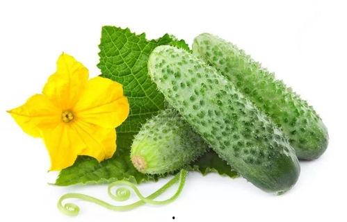 吃瓜系统詹言,网络热词背后的文化现象