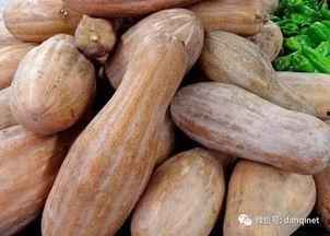 中午只吃方瓜,中午一餐的绿色养生之旅