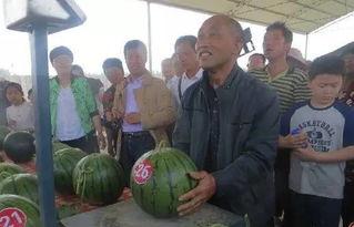 吃瓜群众洛川,揭秘娱乐圈幕后风云