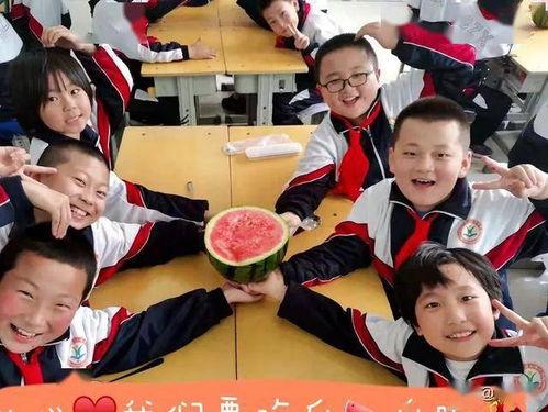 中学老师 吃瓜,揭秘校园里的“瓜田”趣事