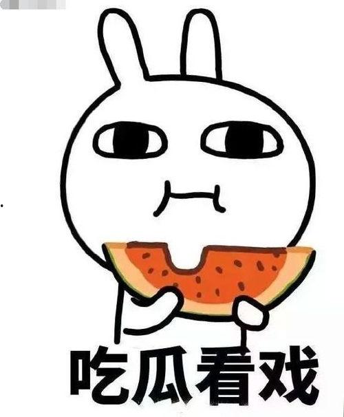 吃瓜小熊陈晞,揭秘娱乐圈幕后故事