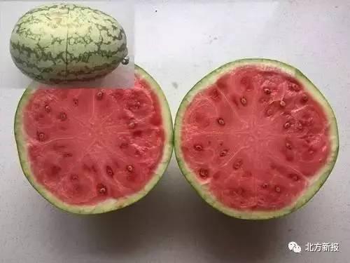 法律中吃的瓜,揭秘网络舆论中的法律边界