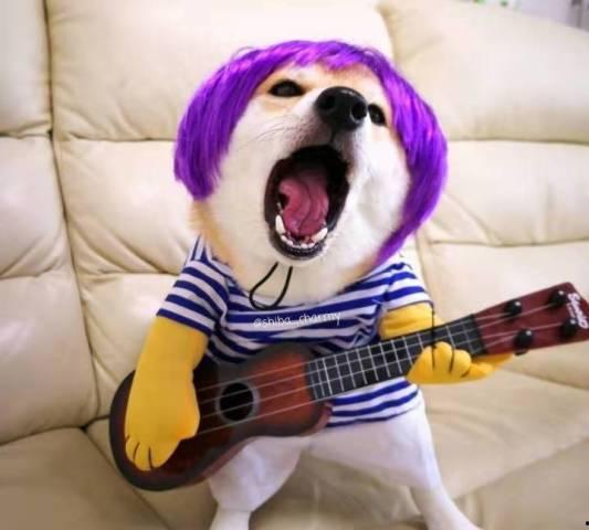 吃瓜吃吐的猹,揭秘网络舆论的狂欢与反思