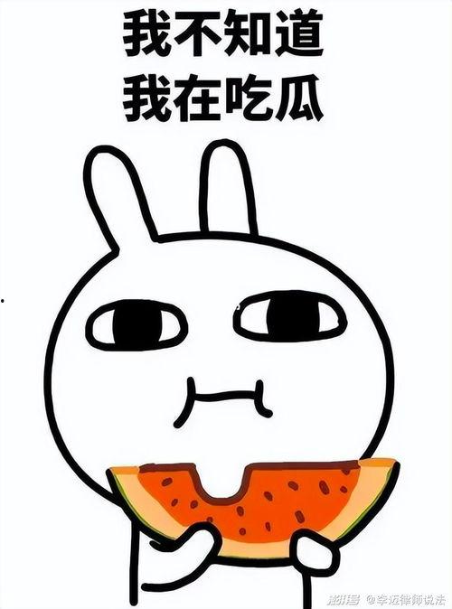 吃瓜的猹emmm,揭秘网络热词背后的故事