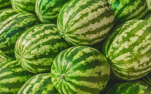 朋友找你吃瓜,朋友间的吃瓜盛宴，一场趣味横生的社交狂欢