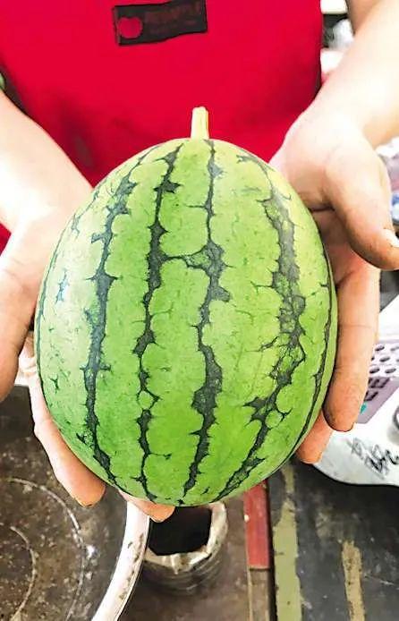 青岛吃瓜公众号,吃瓜群众的味蕾盛宴