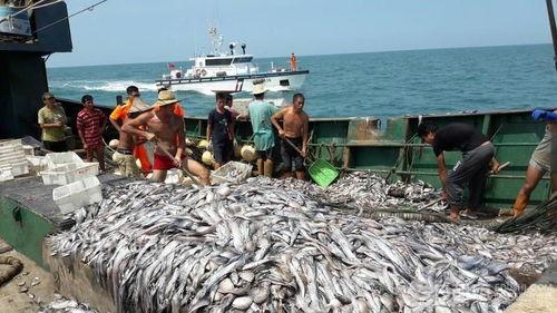 中国渔船吃瓜团,揭秘海上娱乐新风尚