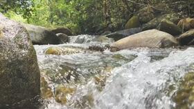 杭州临安吃瓜,夏日吃瓜盛宴，品味当地特色美食之旅