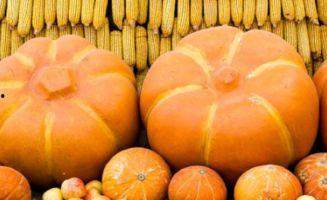 梨瓜痛风人可以吃吗,梨瓜痛风患者适宜食用指南