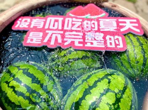 吃瓜网星期六,揭秘星期六的幕后故事