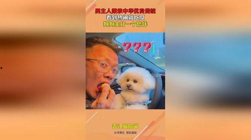 主打陪伴吃瓜,畅享欢乐时光