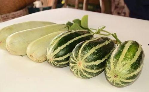 网红吃瓜免费分享