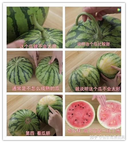 好看吃瓜视频,好看吃瓜视频带你尝鲜