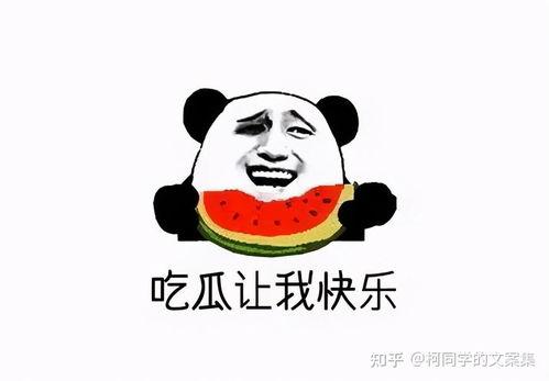 吃瓜吃吐文案图片搞笑,吃瓜吃吐，笑料横生！