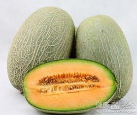 鲤鱼吃哈密瓜,鲤鱼与哈密瓜的奇妙邂逅