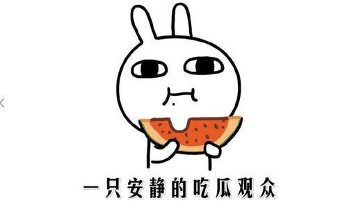 瓜地吃瓜抖音,抖音带你领略夏日清凉