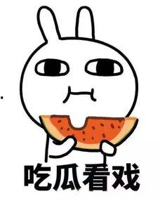 谁随机吃瓜打分,揭秘网络热评背后的趣味与真相