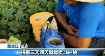 快穿嘎嘎吃瓜后续3