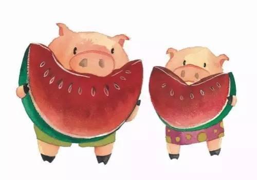 猪吃瓜的梗,一场跨界美食的奇幻之旅