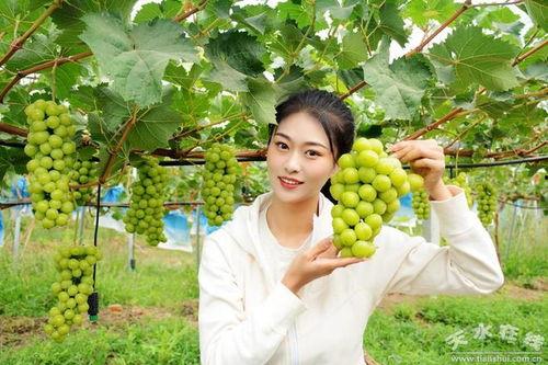 天水社棠镇吃瓜,感受乡村田园生活