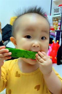 暖宝吃瓜视频,揭秘娱乐圈幕后故事