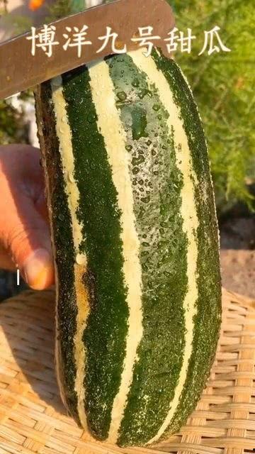 实在没有兴趣吃瓜