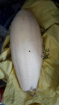 肠手术可以吃白瓜吗,白瓜的食用指南