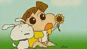 小葵吃瓜日记,揭秘娱乐圈那些事儿