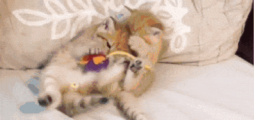 吃瓜热门奶凶,奶凶现象背后的社会心理解析