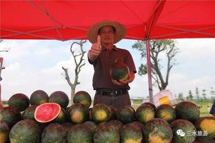 雪场吃瓜,揭秘冰雪世界里的“吃瓜”趣事