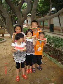 吃瓜观众火灾,吃瓜群众视角下的火灾事件深度解析