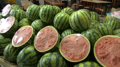 吃瓜瓜的瓜,揭秘吃瓜群众的趣味生活