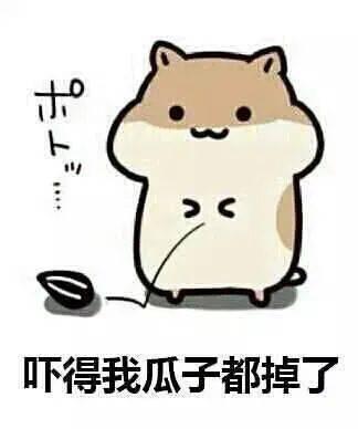 吃瓜 近义词,一窥“吃瓜群众”背后的真相