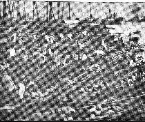 上海杀人吃瓜事件,人性扭曲背后的悲剧真相