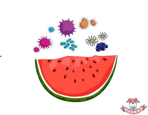 吃瓜注意安全,安全“瓜”时指南