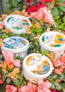 吃冰淇淋瓜视频