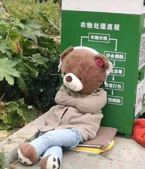 吃瓜小熊路人视角,揭秘娱乐圈背后的真相