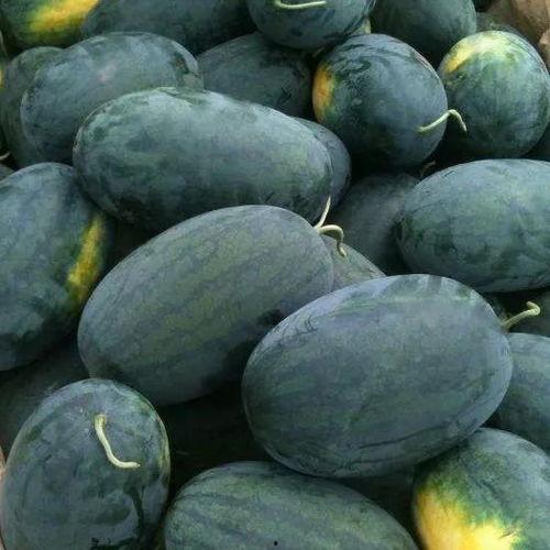 郴州苏仙区吃瓜,品味郴州特色美食之旅