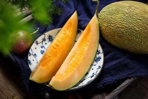 蜜瓜和哈密瓜哪个季节吃,蜜瓜与哈密瓜的季节性品尝指南